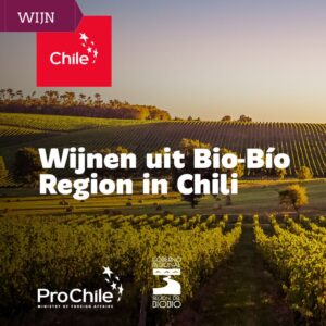 wijnen uit Bio-Bío in Chili