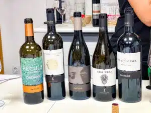 wijnproeverij bij Bodegas Castaño in Yecla