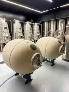 Finca Constancia experimenteert met verdejo in keramische vaatjes Finca Constancia experimenteert met verdejo in keramische vaatjes