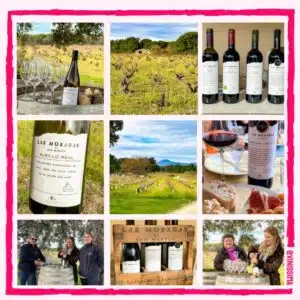 Las Moradas de San Martín – DO Vinos de Madrid Las Moradas de San Martín - DO Vinos de Madrid