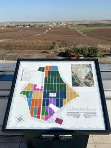 de 80 plots van Fina Constancia de 80 plots van Fina Constancia