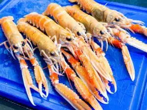 verse langoustines