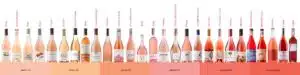 Spanish rosados – colour scheme – credit @vinissima Spanish rosados - colour scheme - credit @vinissima