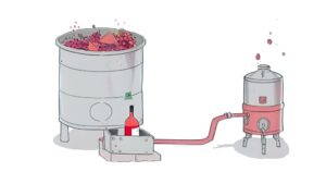 There are several production methods for rosé - credits @vinissima