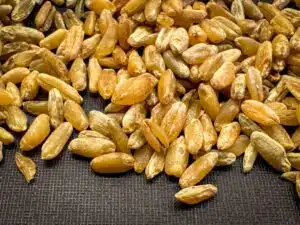 freekeh