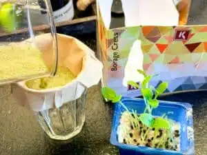 borage-olie maken