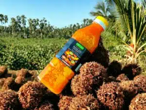 voor kip moambe heb je palmolie nodig voor kip moambe heb je palmolie nodig