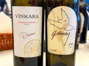 Turkse wijnen van kalecik karası en gamay
