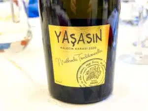 Vinkara Yasasin